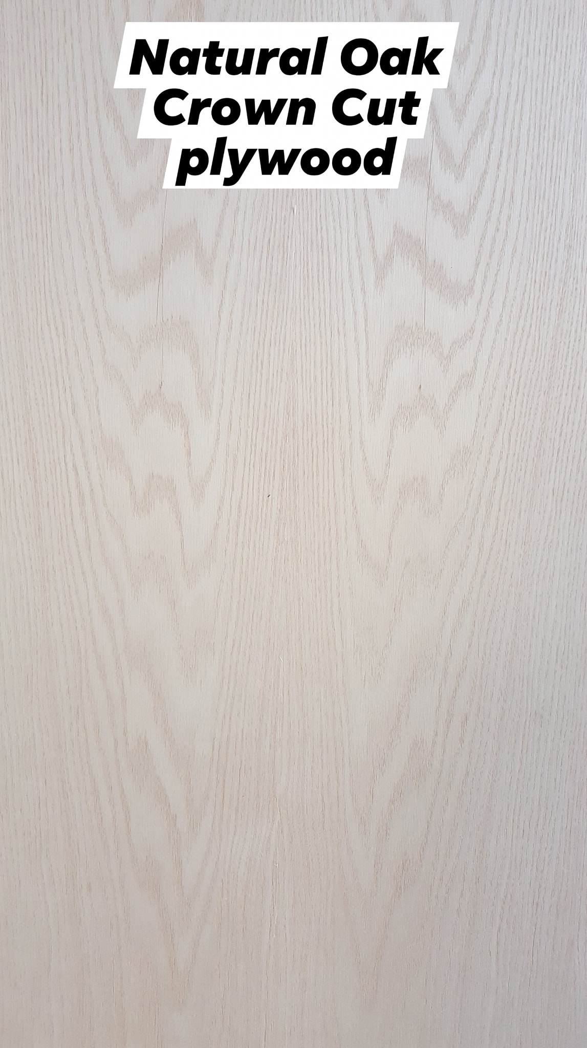Natural Oak Crown Cut